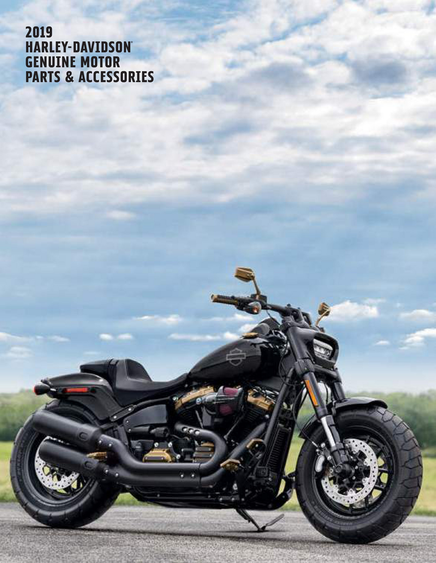 2017 Harley Davidson Softail Deluxe Service Manual
